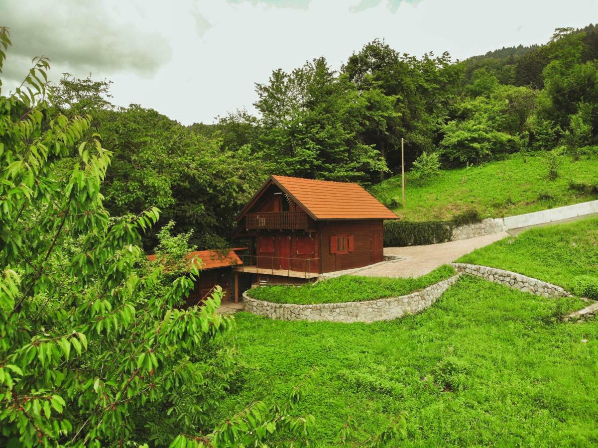 Lazec Country House Villa Pluznje Bagian luar foto
